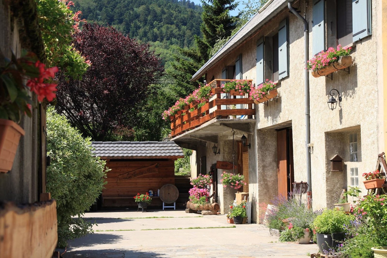 Magasin à la ferme